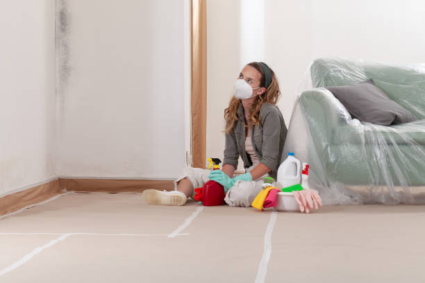 Reliable Mold Inspection contractor in Brookfield, NJ by WQB Mold Removal